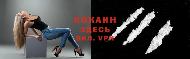 скорость Козловка