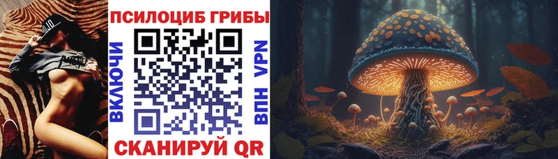 Галлюциногенные грибы Magic Shrooms  Купить где  Приморско-Ахтарск 